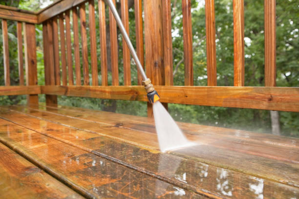 Best Roof Pressure Washing  in Union City, OH